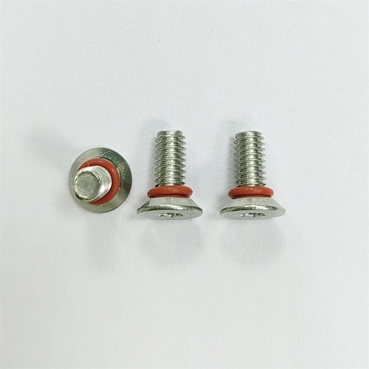 torx sealing screw (2)
