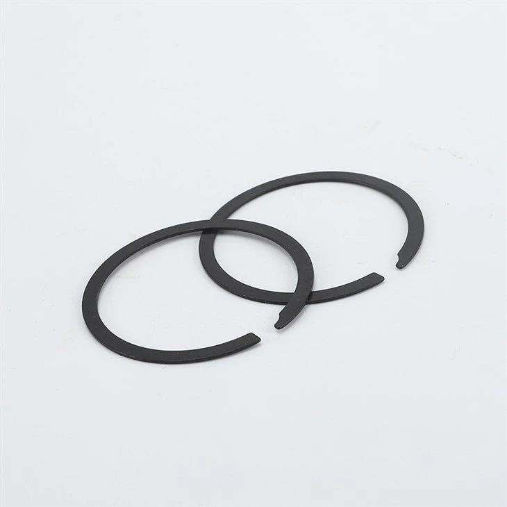 retaining rings (6)