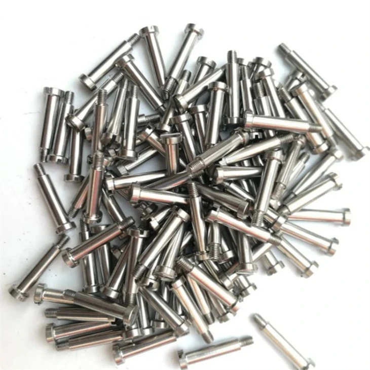 slotted screw (5)